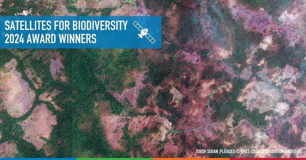Satellites for biodiversity 2024 awards winners