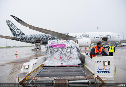 A350 MSN002 mission to Guadelope for foundation