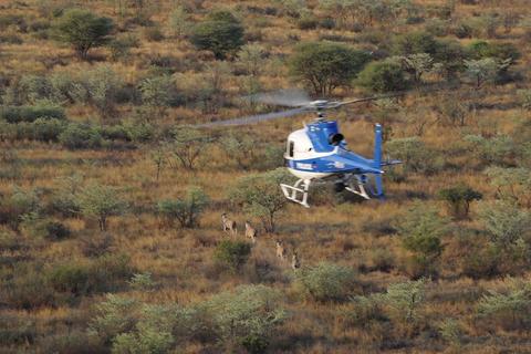 H125 H125