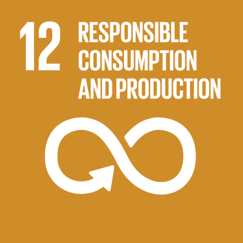 SDG Goals 12 SDG Goals 12