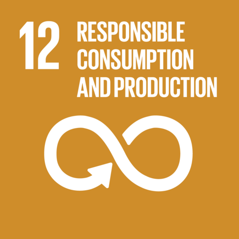 SDG Goals 12