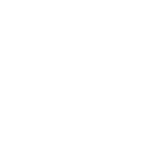 Icon Seat Icon Seat