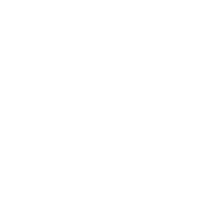Icon Circle Icon Cirle