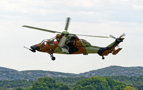 Tiger in flight Tiger in flight