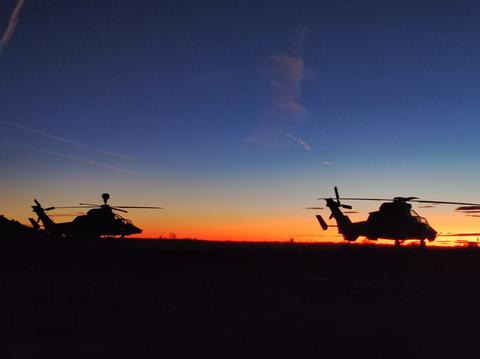 Two Tigers silhouetted at dusk
