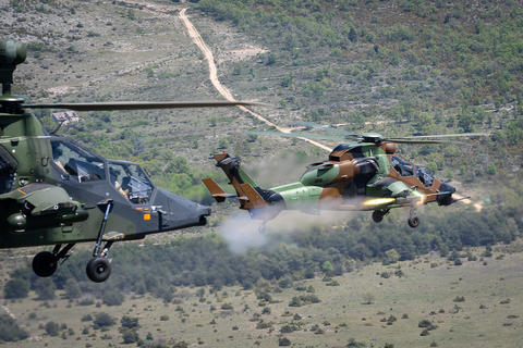 Two Tigers conduct firing exercises