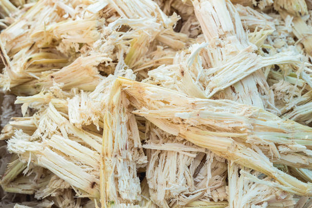Future-materials-Bagasse Future-materials-Bagasse