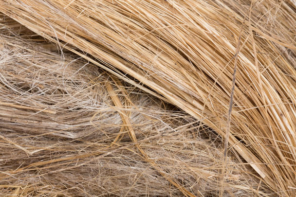 Future-materials-Flax Future-materials-Flax