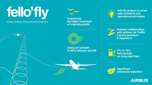 Infographic-fello-fly Infographic-fello-fly