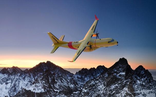 C295W C295W