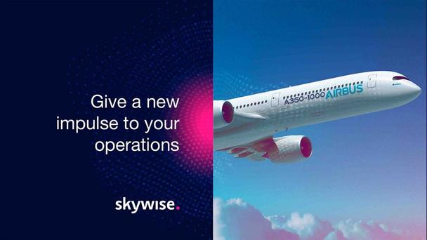 Skywise Skywise