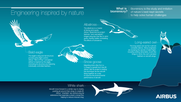Biomimicry Biomimicry
