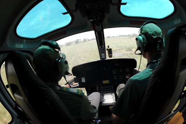 Etosha National Park aerial surveillance in an H125
