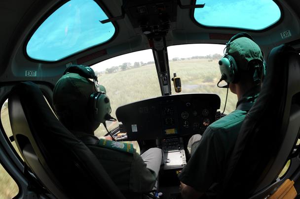 Etosha National Park aerial surveillance in an H125 Etosha National Park aerial surveillance in an H125