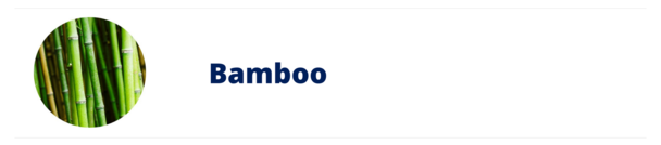Bamboo Bamboo