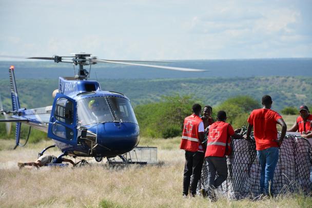 H125
