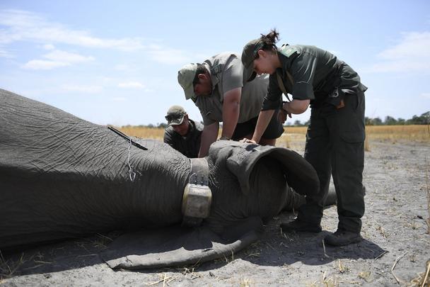 Namibia Namibia