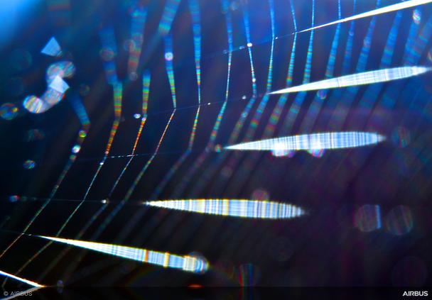 Spider-silk-AMsilk-materials-innovation