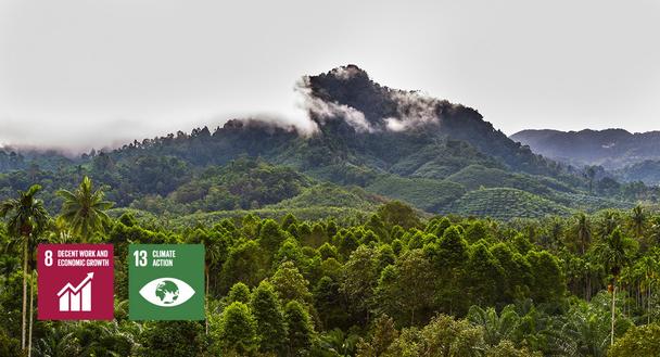 Starling-Forest-Deforestation