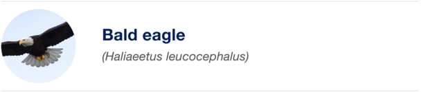 Biomimicry Biomimicry