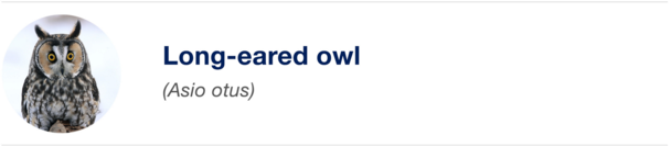 Biomimicry Biomimicry