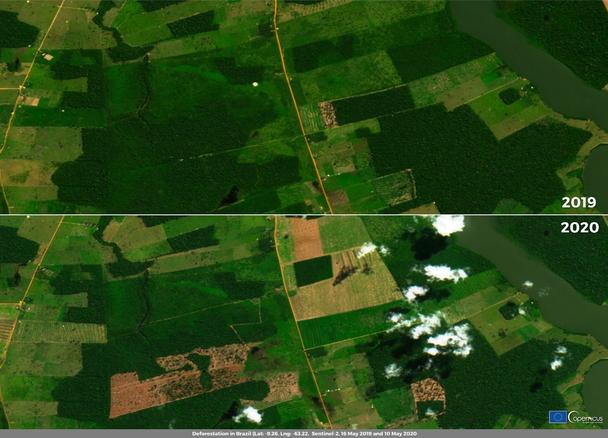 Amazon Rainforest Amazon Rainforest
