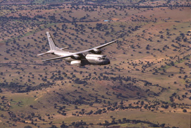 C295 C295