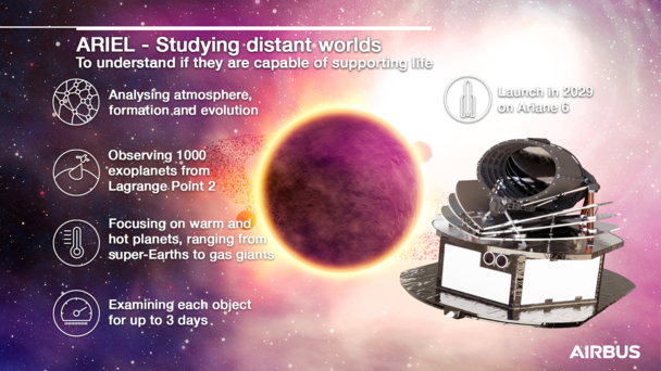 Infographic: Ariel Ariel infographic