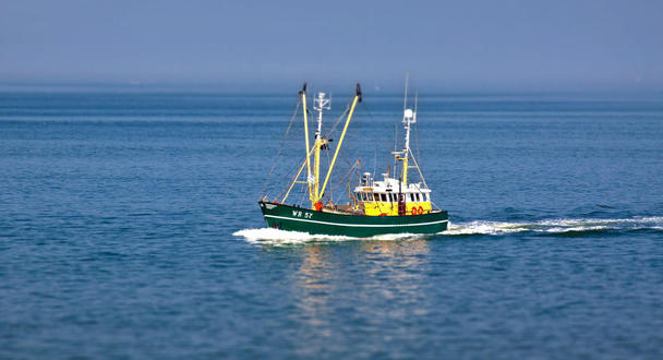 Fishing Fishing