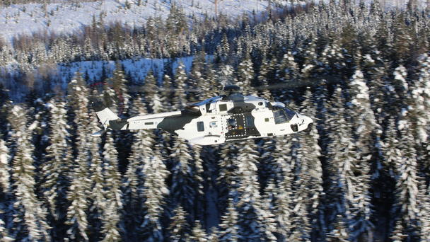 NH90 tfia_wintercamo_isokuva.jpg