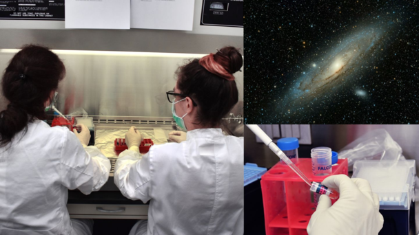 3D Organoids from Space