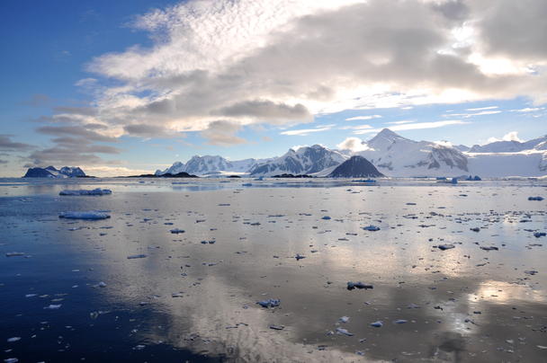 Antarctic Antarctic