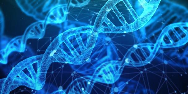 DNA DNA