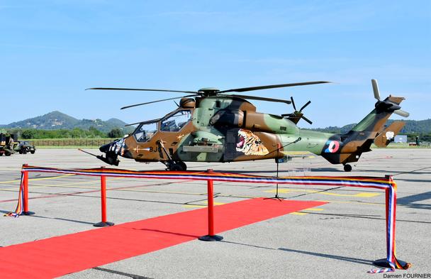 A Tiger on the runway before the EFA's 20 year anniversary Tiger at EFA