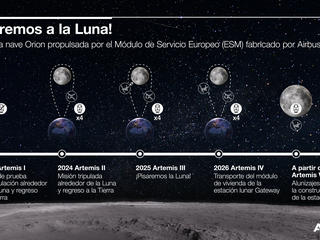 Infographic (SP)