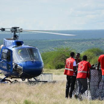 H125