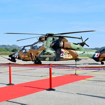 A Tiger on the runway before the EFA's 20 year anniversary
