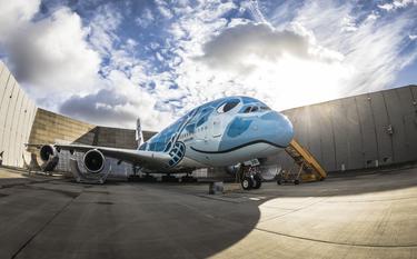 A380 in sea turtle livery for All Nippon Airways A380 in sea turtle livery for All Nippon Airways