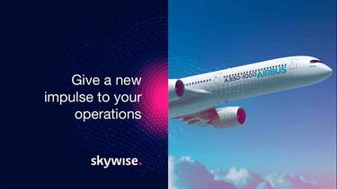 Skywise