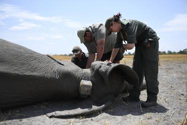 Namibia Namibia