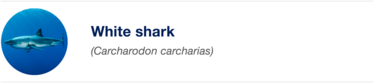 Biomimicry Biomimicry