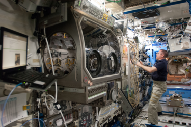NASA Astronaut Kevin Ford NASA Astronaut Kevin Ford