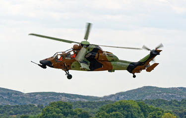 Tiger in flight