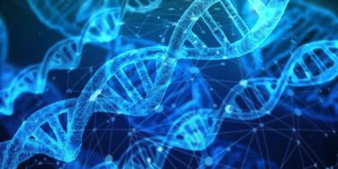 DNA DNA