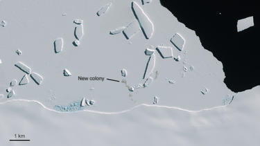 cape_gates_antarctica_copyright_esa cape_gates_antarctica_copyright_esa