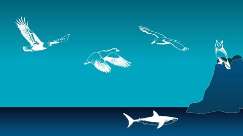 Biomimicry