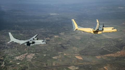 C295