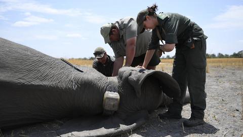 Namibia