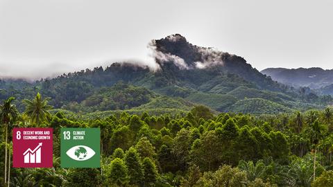 Starling-Forest-Deforestation
