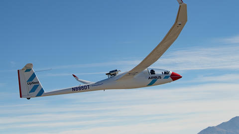 blue condor